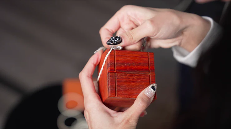 4D BOX (NEST OF BOXES) by Pen, Bond Lee & MS Magic - Trick - Image 5