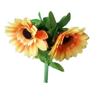 Amazing Split Sunflower by Premium Magic - Trick - Image 3