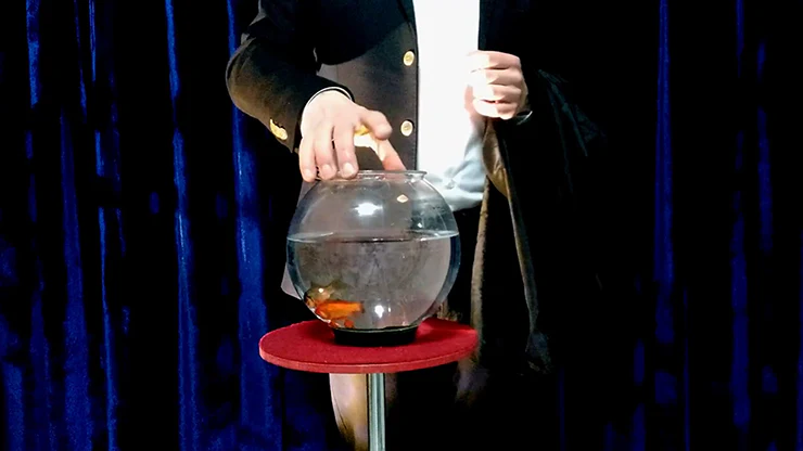 APPEARING FISH IN BOWL by Sorcier Magic - Image 3
