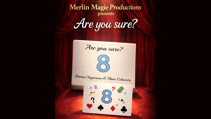 Are You Sure? by Damien Vappereau and Marc Céliandre