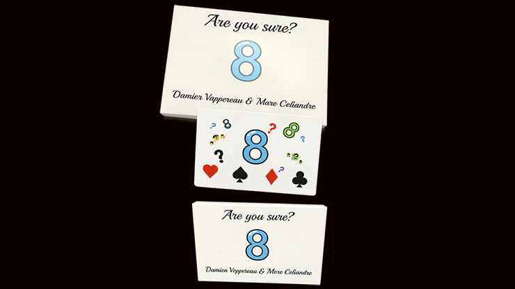 Are You Sure? by Damien Vappereau and Marc Céliandre - Image 2