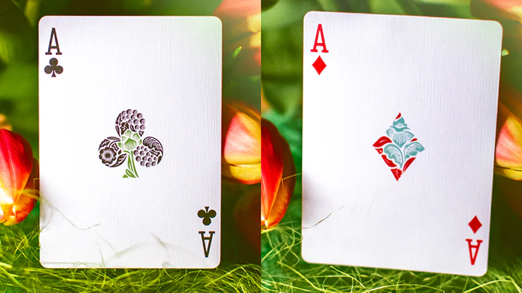 Butterfly Seasons Playing Cards Marked (Spring) by Ondrej Psenicka - Image 5