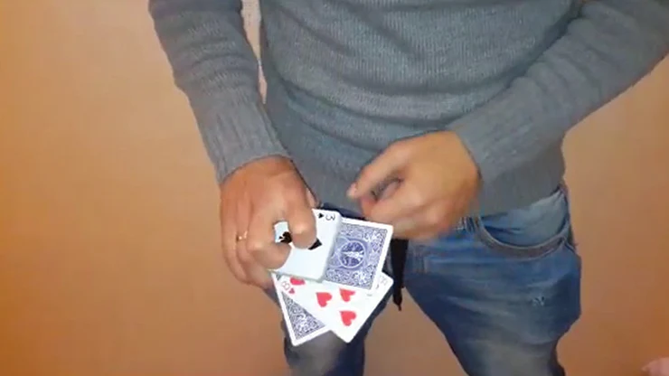 Crocodile Closing by Zack Lach - Video Download - Image 2