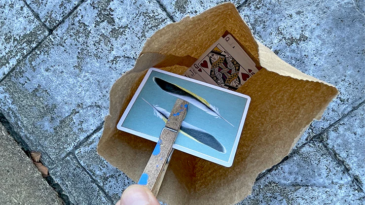 Insta Bag by Rian Lehman - Video Download - Image 2