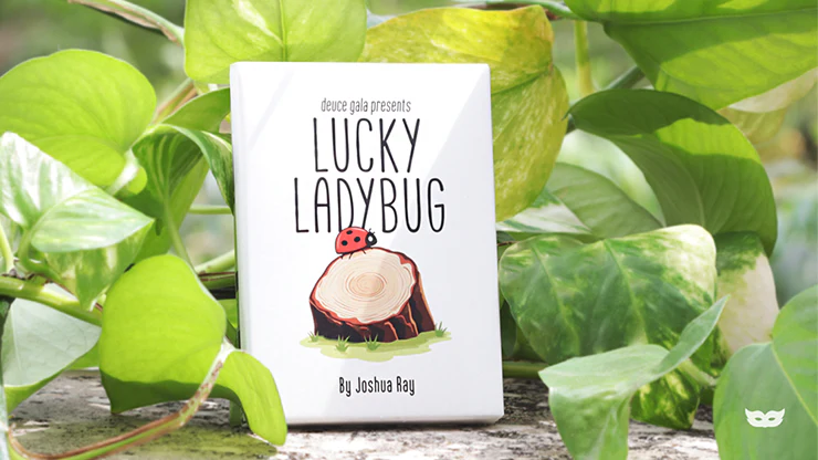 Lucky Ladybug (Gimmicks and Online Instructions) by Joshua Ray & Deuce Gala Magic - Image 5