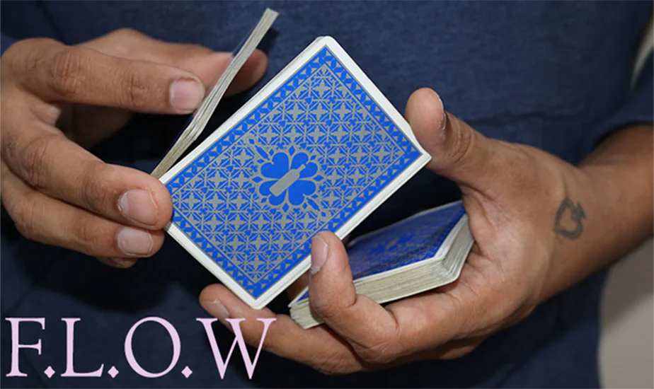 Magic Encarta Presents F.L.O.W by Vivek Singhi - - Video Download