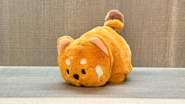 Morphing Plush (Panda to Raccoon) by Jackie Zhao and JT Magic - Image 3