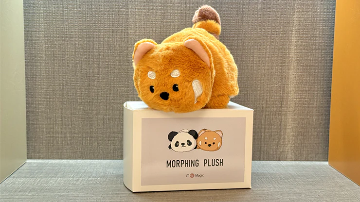 Morphing Plush (Panda to Raccoon) by Jackie Zhao and JT Magic - Image 5