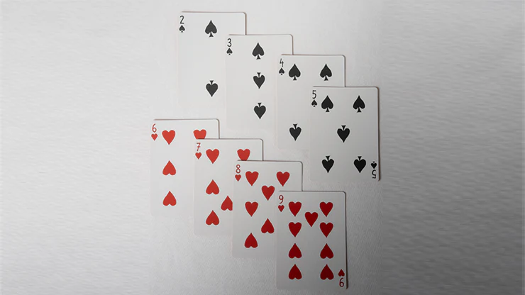No Borders Edition 2 Victory Back Playing Cards by Joker and the Thief - Image 3