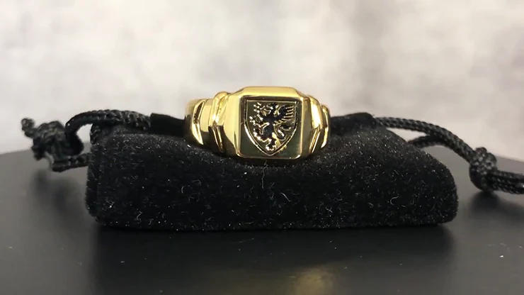 Regal Rings by David Regal - Trick - Image 3