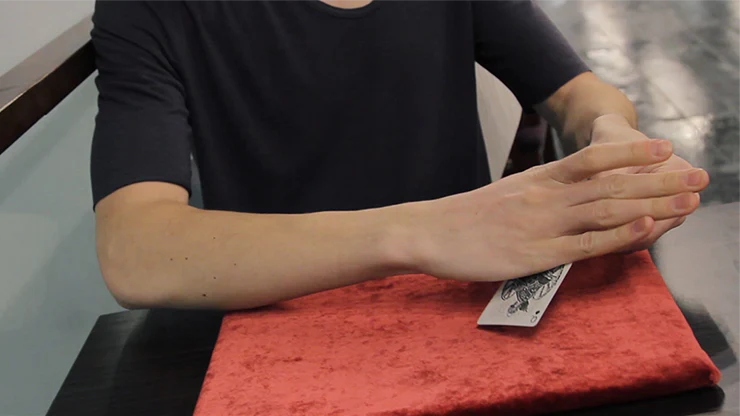 Second Form By Nick Vlow and Sergey Koller Produced by Shin Lim - Video Download - Image 6