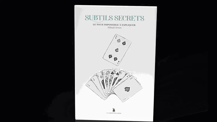 Subtle Secrets 2 by Thibault Ternon