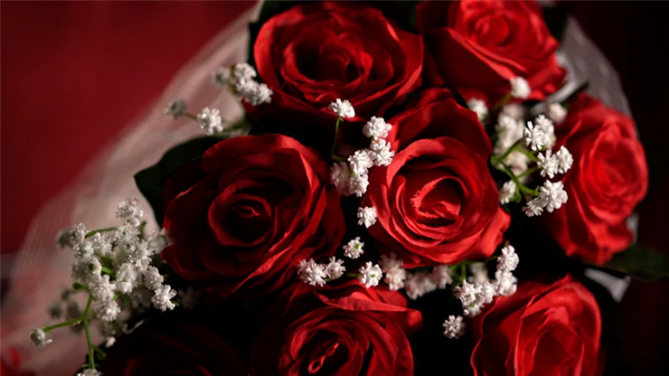 The Bouquet (Red) by Bond Lee & MS Magic- Trick - Image 3
