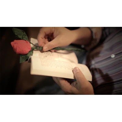 The Saint-Exerpury Rose by Vincent Mendoza & Lost Art Magic - Video DOWNLOA - Image 2