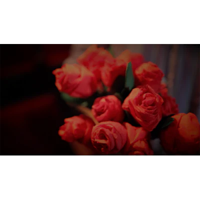The Saint-Exerpury Rose by Vincent Mendoza & Lost Art Magic - Video DOWNLOA - Image 3