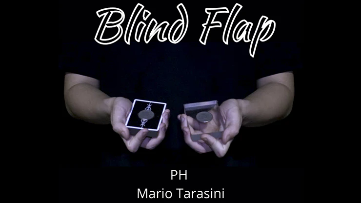 The Vault - Blind Flap Project by PH and Mario Tarasini - Video Download - Image 2